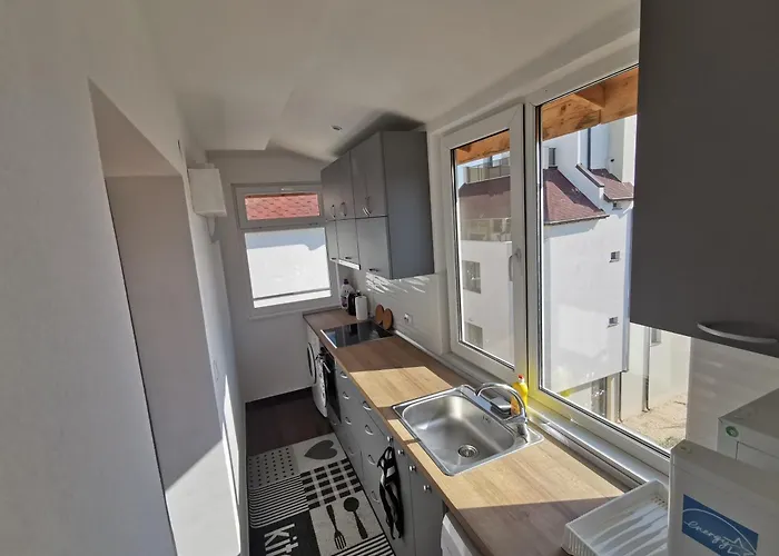 Emona 5 Floor 4 Apartment